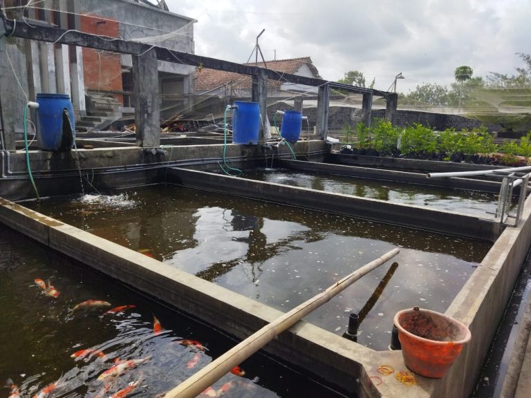 kolam 2