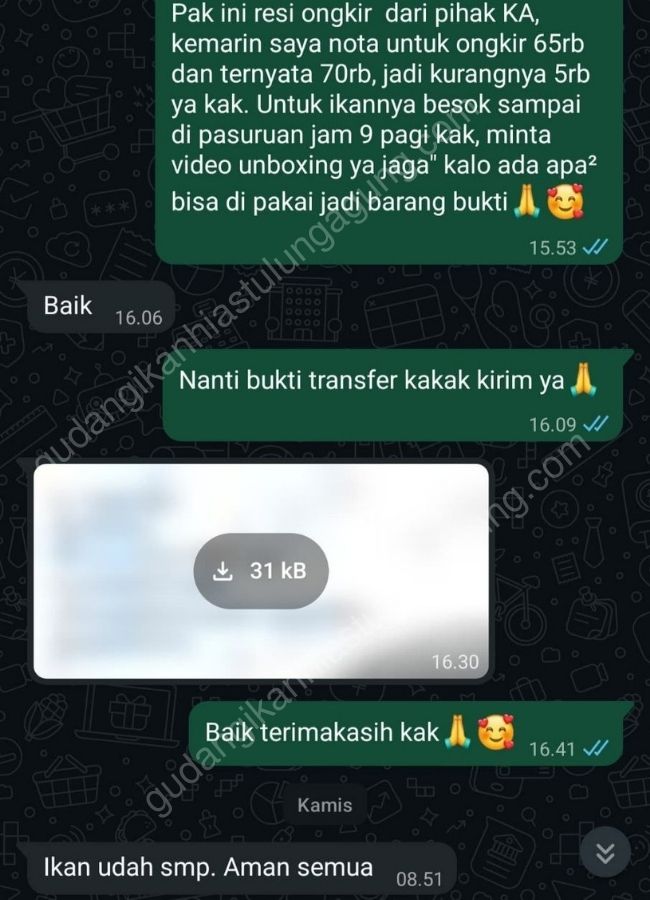 jual ikan hias tulungagung