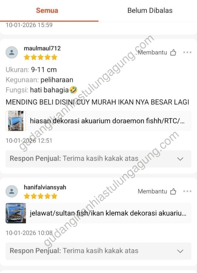 jual ikan hias tulungagung