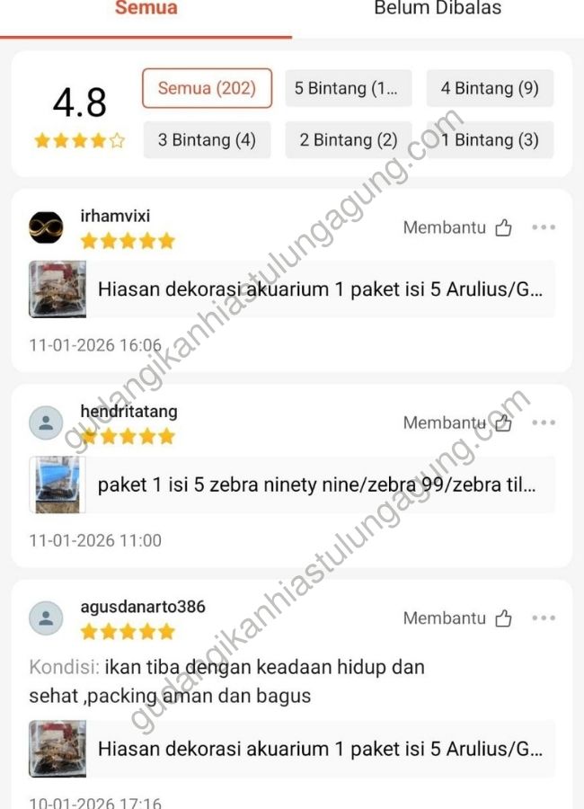 jual ikan hias tulungagung